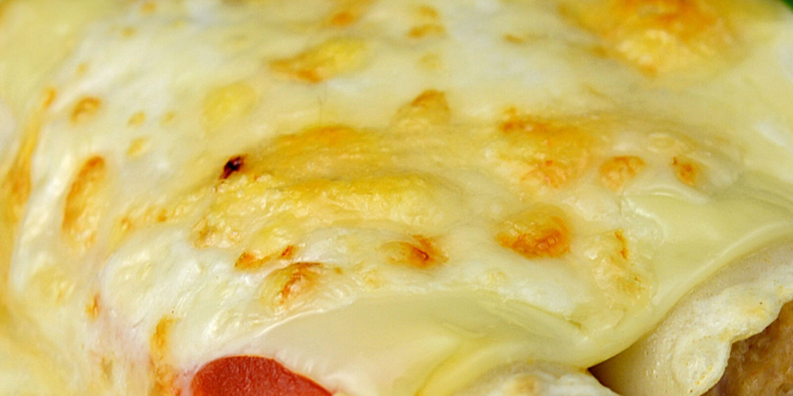 Cannelloni di pollo